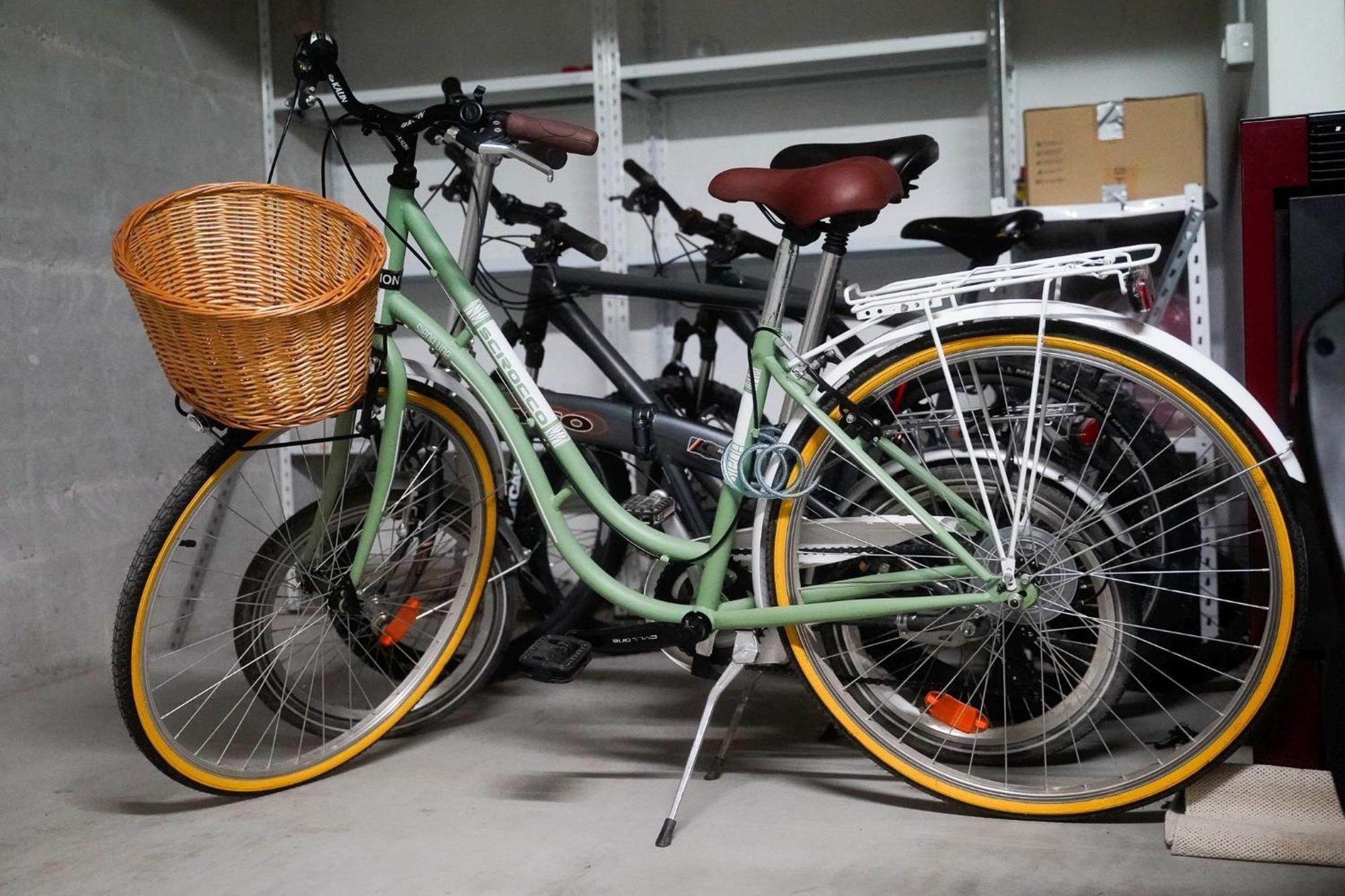 Dandelion Apartment Rovinj-Free Bikes Bagian luar foto