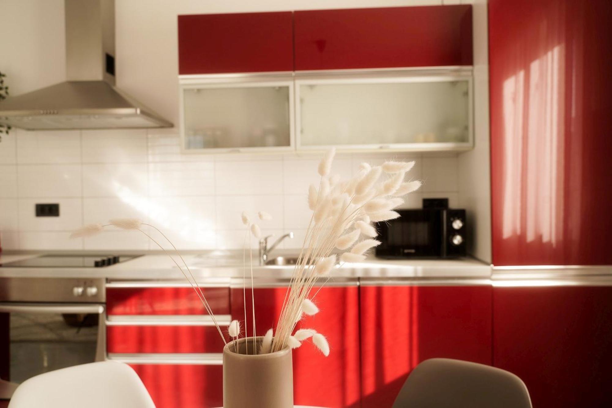 Dandelion Apartment Rovinj-Free Bikes Bagian luar foto