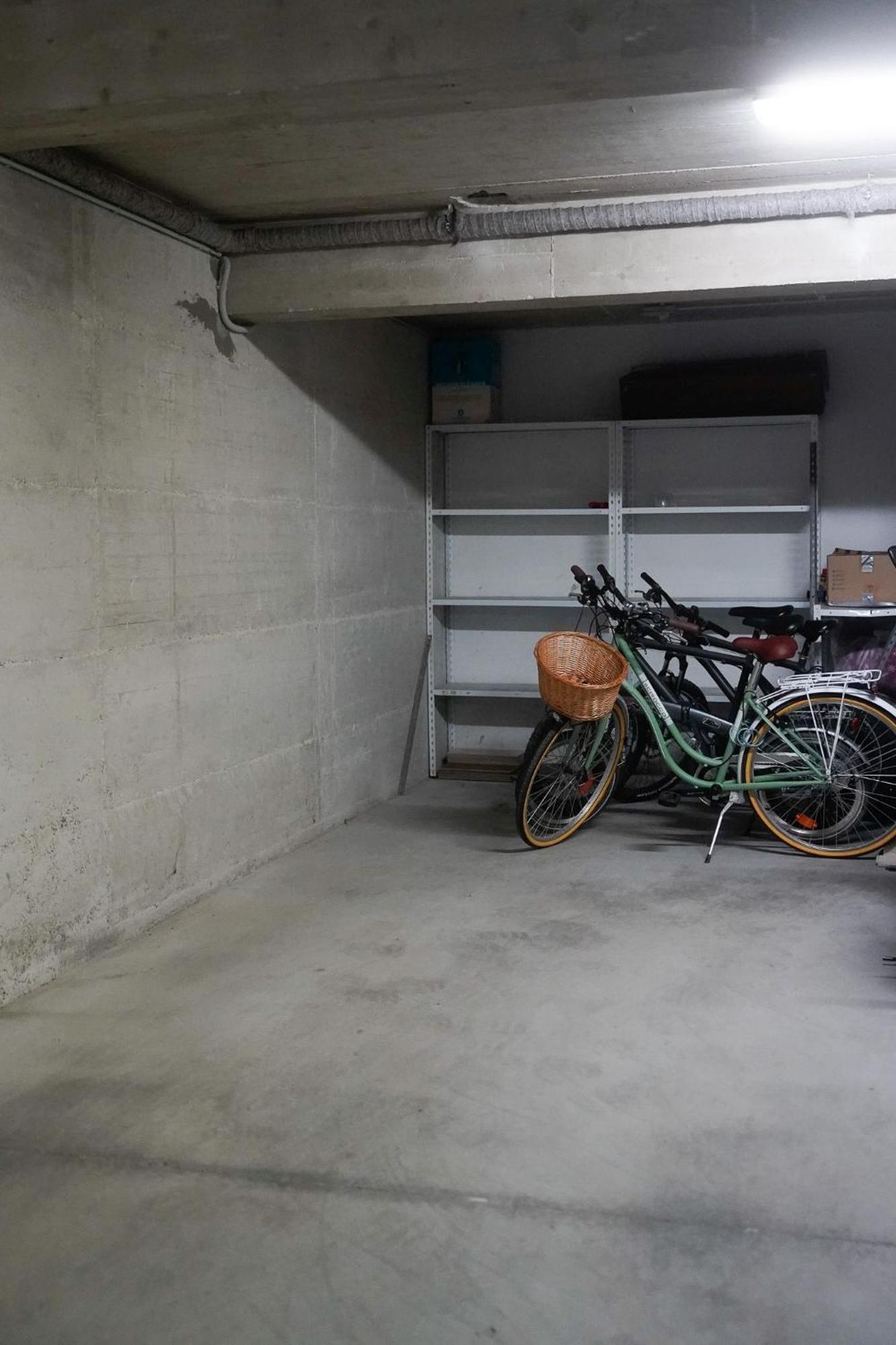 Dandelion Apartment Rovinj-Free Bikes Bagian luar foto